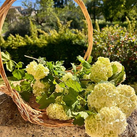 Les Ecrivains At Domaine Le Touran Near Saint Emilion Vila Pellegrue Exterior foto