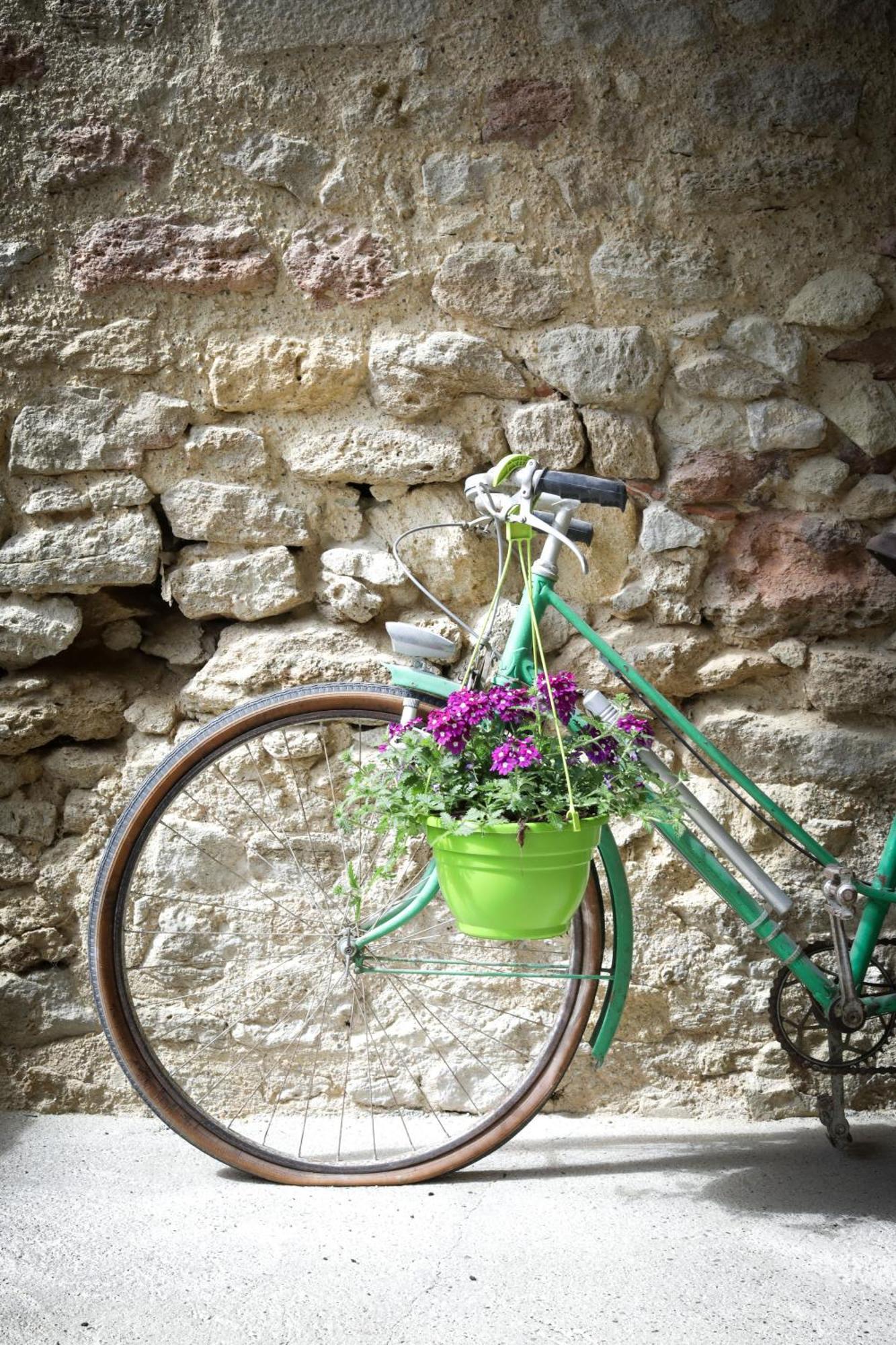 Les Ecrivains At Domaine Le Touran Near Saint Emilion Vila Pellegrue Exterior foto