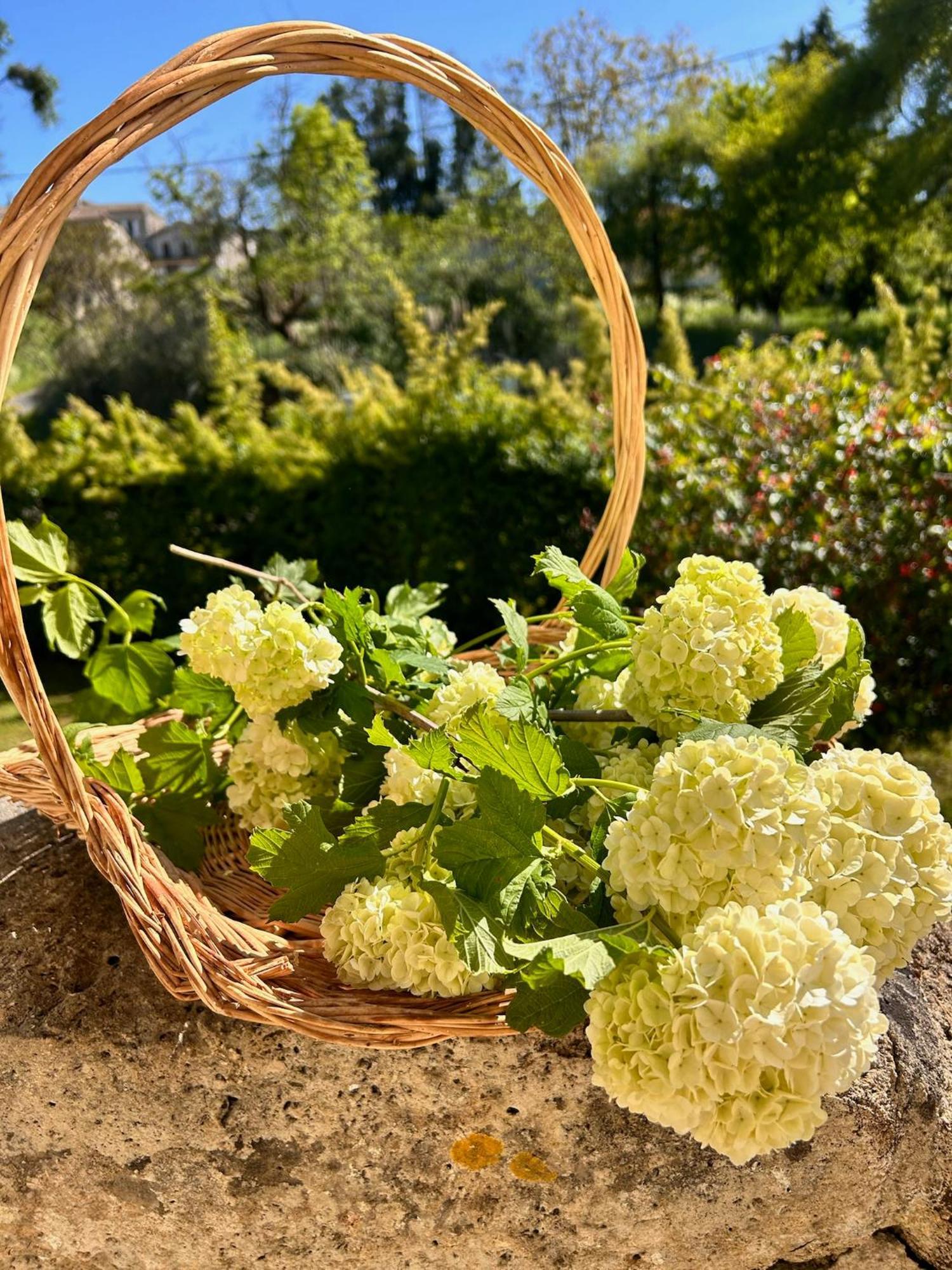 Les Ecrivains At Domaine Le Touran Near Saint Emilion Vila Pellegrue Exterior foto