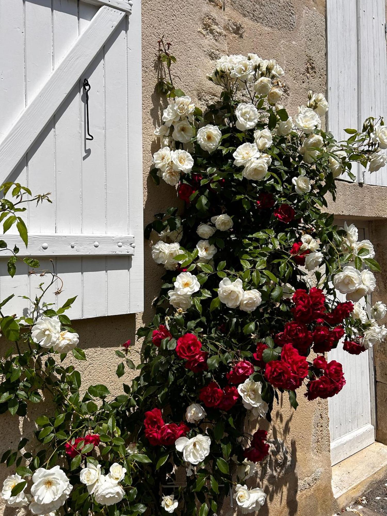 Les Ecrivains At Domaine Le Touran Near Saint Emilion Vila Pellegrue Exterior foto